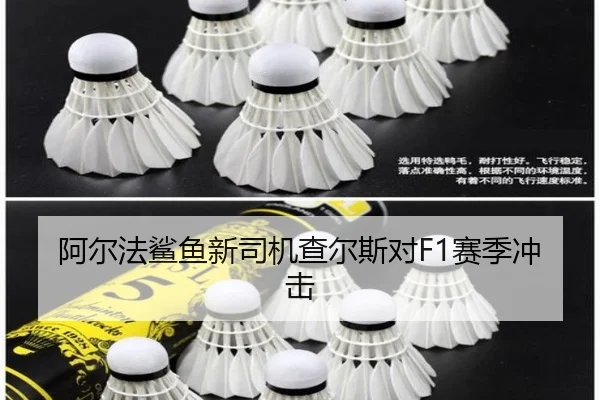 阿尔法鲨鱼新司机查尔斯对F1赛季冲击